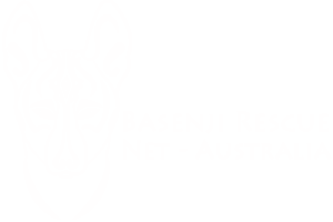 Basenji Rescue Net - Australia